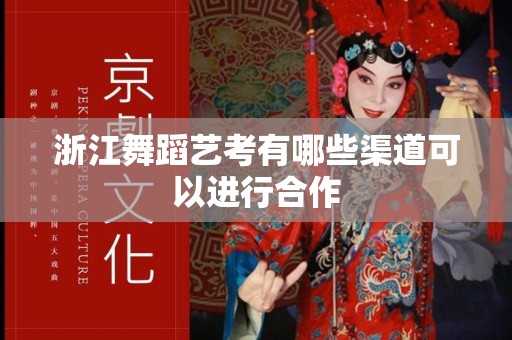 浙江舞蹈艺考有哪些渠道可以进行合作