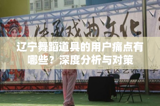 辽宁舞蹈道具的用户痛点有哪些？深度分析与对策