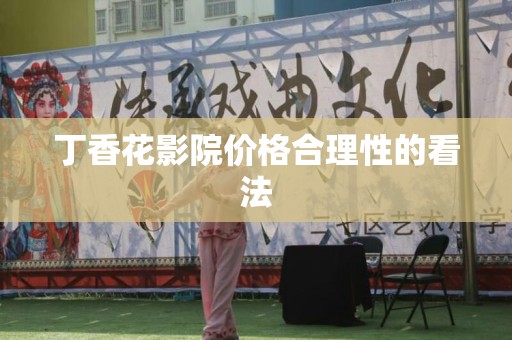 丁香花影院价格合理性的看法