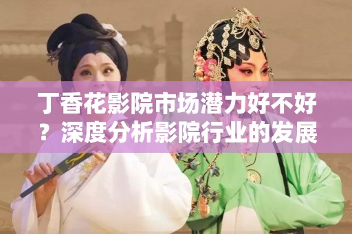 丁香花影院市场潜力好不好？深度分析影院行业的发展前景