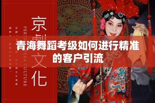 青海舞蹈考级如何进行精准的客户引流