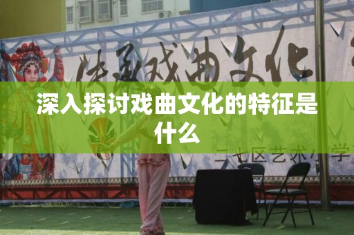 深入探讨戏曲文化的特征是什么